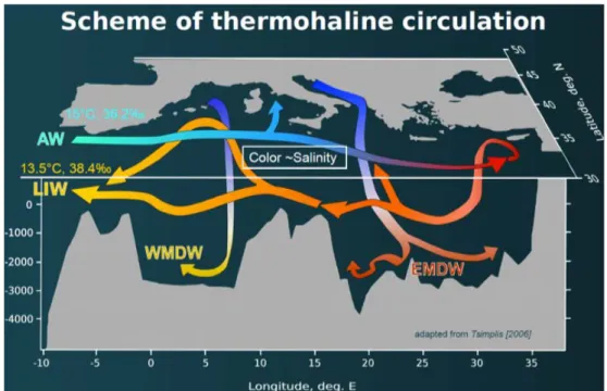 Figure 2: Sch´ ema de la circulation thermohaline M´ editerran´ eenne. Modifi´ e par L.Houpert de