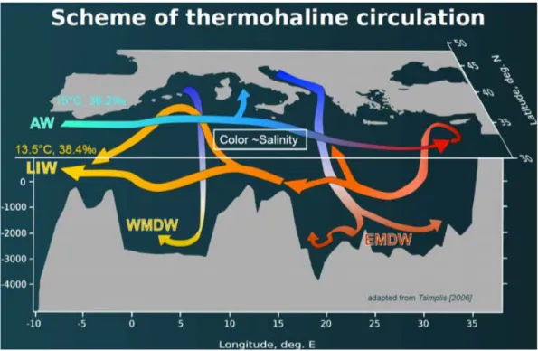 Figure 1.2: Schematic of Mediterranean Thermohaline Circulation. Modified by L.Houpert from