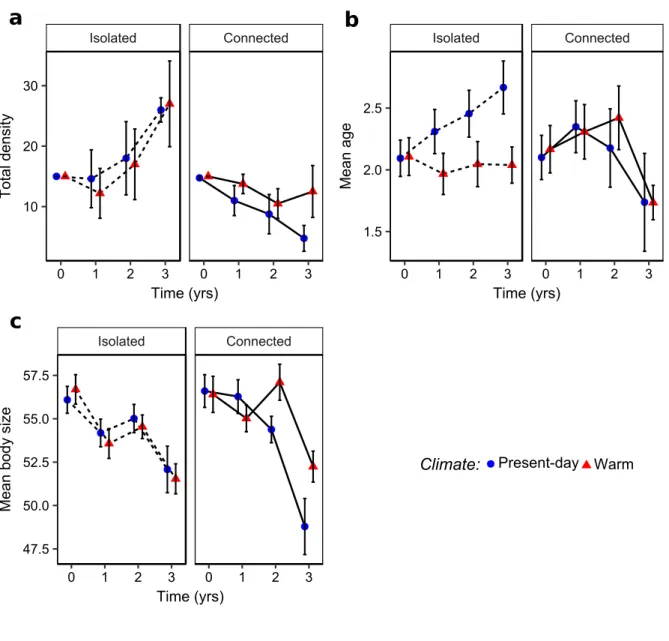 Figure 2.1 – Population dynamics: Total density (a), mean age (b) and mean body size (c) of populations through time in isolated (dashed lines) and connected (solid lines) habitats under present-day (blue circles) and warm climate (red triangles)