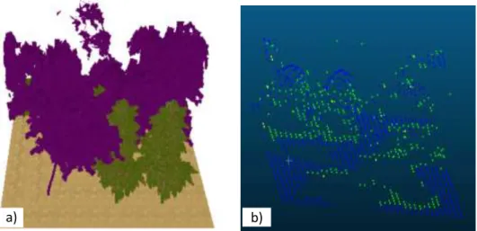 Figure  ‎1-25:  Affichage  de  nuages  de  points  discrets  avec  l’outil  Cloud  compare :  a)  scène  3D  d’une  parcelle  arborée  simulées  par  DART