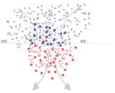 Figure 1.4 – Repr´esentation sch´ematique de la composition d’un nuage.