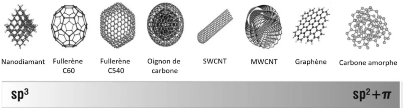 Figure  3. Représentation schématique de huit allotropes du carbone classés selon la capacité d’hybridation des  atomes de carbone