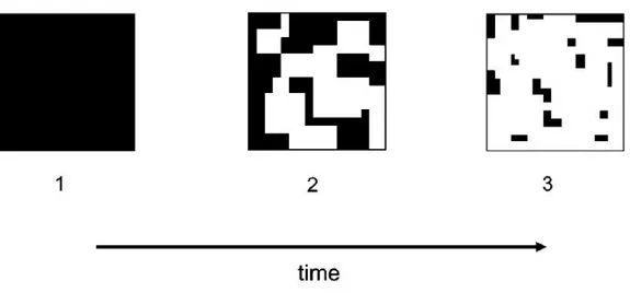 Figure A – Dynamique temporelle du processus de fragmentation. L’habitat (en noir) subit une division en de nombreux fragments (tâches) au cours du temps avec un isolement de plus en plus important entres ces tâches