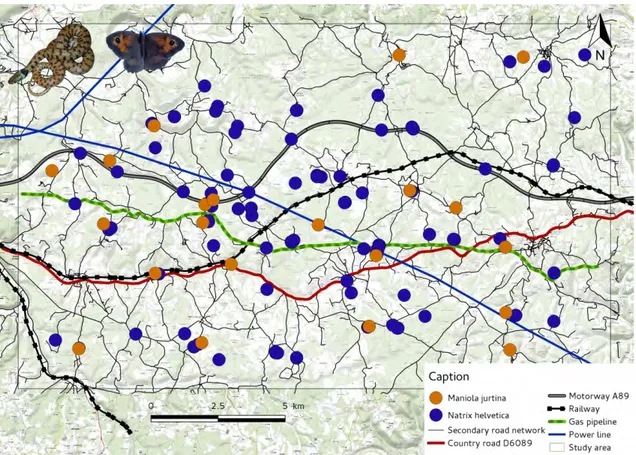 Figure 1.2 – Sampling locations of the species Natrix helvetica and Maniola jurtina within the study area