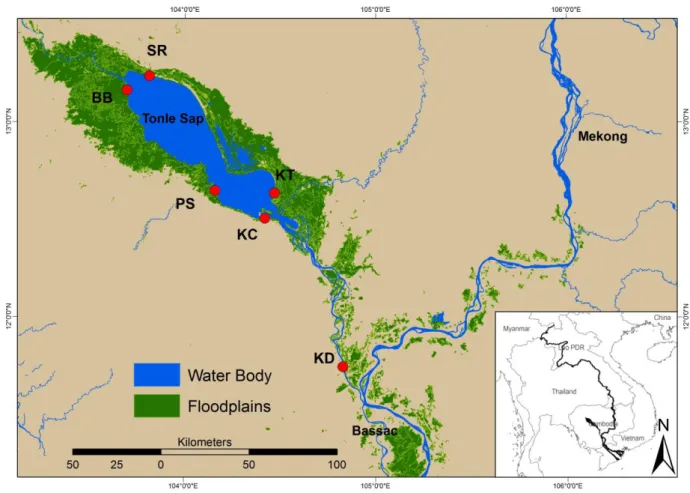 Fig. 1. Map of the study site around the Tonle Sap Lake (TSL) and in the Tonle Sap River 