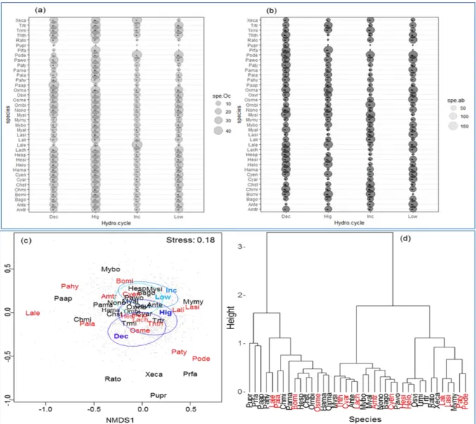Fig.  7. Seasonal pattern of species distribution according to hydrological cycle of TSL