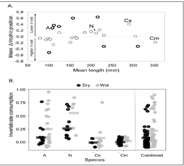 Fig. 9. A) Shift in the mean trophic position between seasons (i.e. mean dry  – mean wet) for 