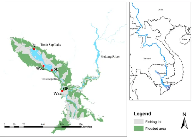 Figure  2.1  Map  showing  the  fishing  lots  surrounding  the  floodplain  of  Tonle  Sap  Lake  in 
