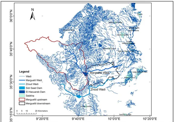 Figure 2. 5: Hydrographic Network of the Merguelil and Zeroud wadi (Source: SIG Merguellil, 