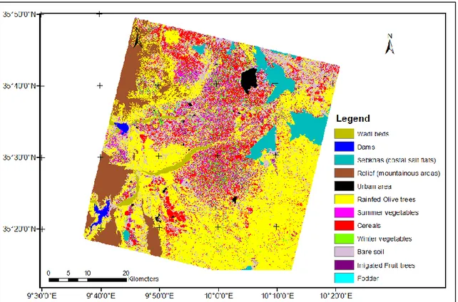 Figure 2. 8: Land use map of the Kairouan plain obtained by the classification of SPOT 5 multi-