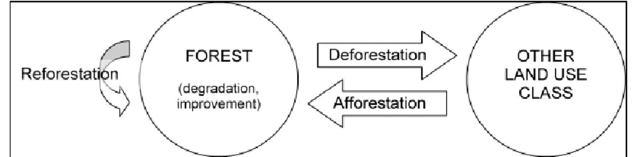 Figure I-6 : Différents types de modification des couverts forestiers définis par la FAO (Source : FAO,  1998)  