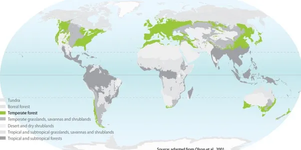 Figure I-7 : Localisation des forêts tempérées dans le monde. Carte adaptée de la carte des écorégions  de Olson et al