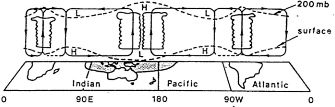 Figure 1.4 – Représentation conceptuelle des circulations de Walker dans un plan équatorial