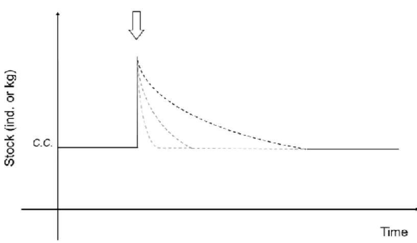 Figure 2. Effet de la taille au lâcher sur la taille de la population de brochet (ligne continue)
