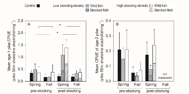 Figure 4. Mean catch-per-unit-effort (CPUE, number of pike caught per 50 m shoreline electrofishing)  of age-1 pike (A) and age-2 pike (B) in the year pre- and post-stocking (following a  before-after-control-impact design)