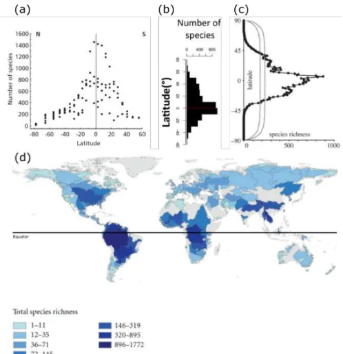 Figure I.2: The latitudinal diversity gradient is described in several taxa, from New World birds (a),