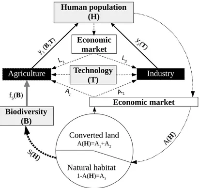 Figure 1.1: Coupling between human and ecological dynamics Black boxes: pro- pro-duction sectors; grey boxes: dynamical variables; white box: auxiliary economic model; dashed lines: production inputs (labor L i , land A i and technology T ); solid lines: per