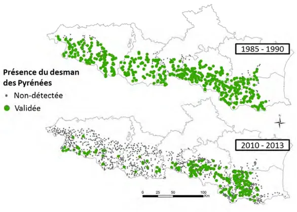 Figure 1-6 : Evolution de l’aire de répartition française du desman des Pyrénées entre les années 1985-1990 et 2010-2013