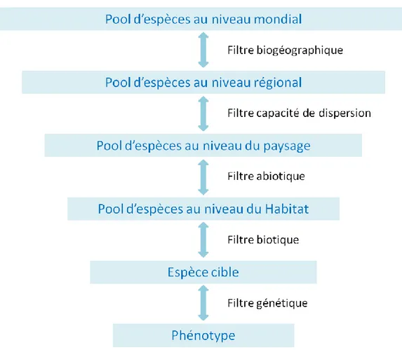 Figure 2: Différents filtres environnementaux agissant à différentes échelles spatiales