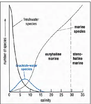 Figure 5. Diagramme de Remane (1934) décrivant l’évolution de la diversité des espèces le long  du gradient de salinité