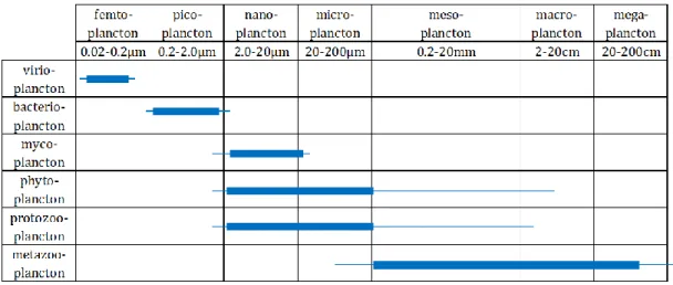 Table 1. Classification par taille du plancton, modifié d’après Sieburth et al. (1978)