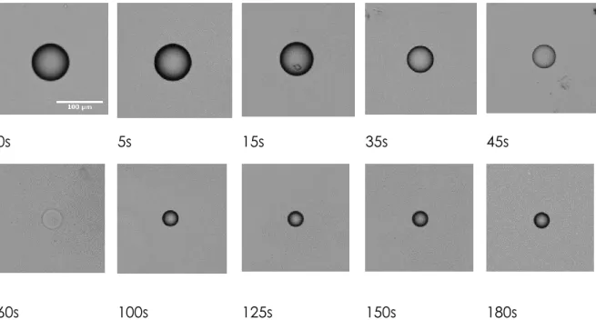 Figure 9 Evolution de la goutte en fonction du temps et de la position dans le 