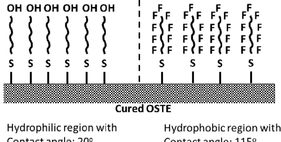 Figure II-14: Surface modification of OSTEmer chip using methacrylate monomers 