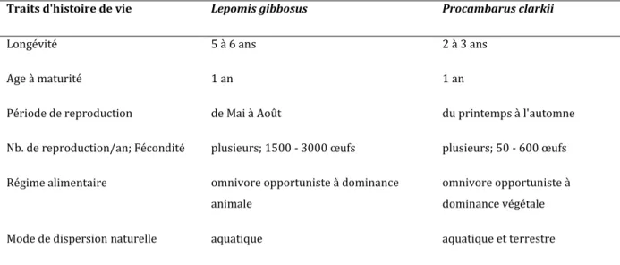 Tableau  II.1  Récapitulatif  des  traits  d'histoire  de  vie  de  Lepomis  gibbosus  et  Procambarus  clarkii en France