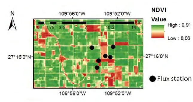 Figure 2.1: The Yaqui site along with the six ﬂux stations situated in the study area.