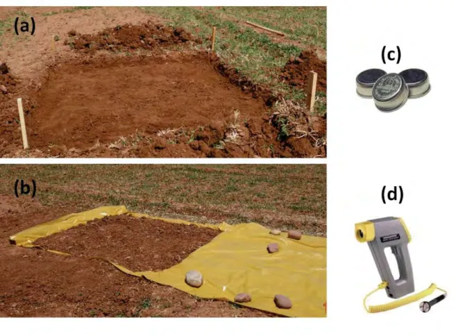 Figure 2.2: The dry soil plot located in the R3 perimeter. A pit of 15 cm depth was dug