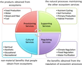 Figure I-3 Four categories of ecosystem services (MA 2005)   