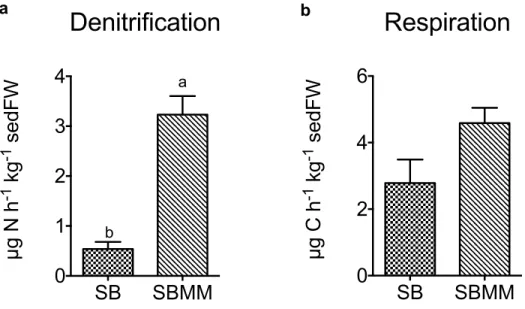 Figure  II.2-4  Denitrification (a) and respiration (b) rates at the  end of experiment (mean ± SE)