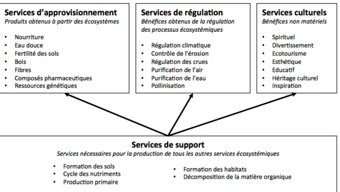 Figure  2  –.  Catégories  et  exemples  de  services  écosystémiques  selon  le  cadre  de 