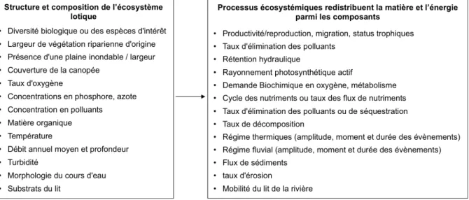 Figure  5  –  Mise  en  relation  entre  les  éléments  qui  composent  l’écosystème  lotique  et  les 