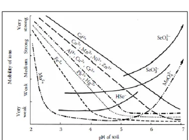 Figure 10 Concentrations des ETM dans la solution de sol dans un sol sableux podzolique 