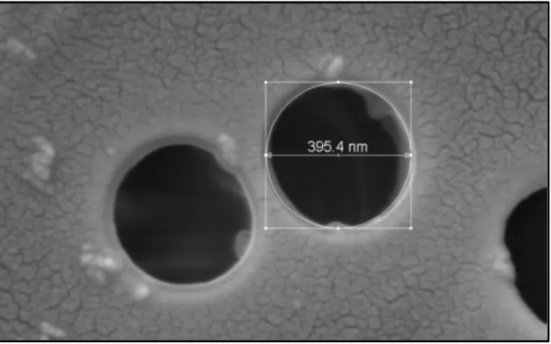 Figure  III.2:  Observation  par  SEM  de  la  surface  d’une  membrane  isopore  neuve de taille de pore 0,4 µm (X 85 000)