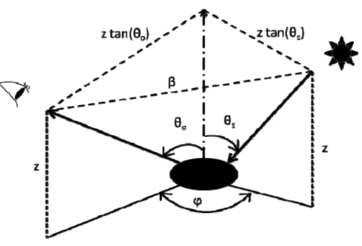 Figure 3.3   –  ‘Chemin’ d’un rayon solaire réfléchi  par une feuille. Adapté de Verhoef 1998 (p.153)