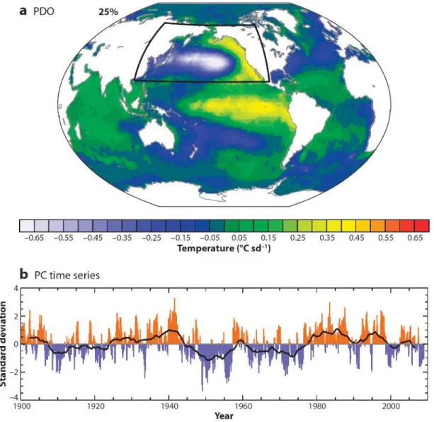 Figure 1.3 – L’Oscillation Pacifique D´ec´ennale (PDO). (a) Premi`ere Fonction Or- Or-thogonale Empirique (EOF) calcul´ee sur les anomalies de temp´eratures de surface de l’oc´ean (SST) du Nord Pacifique en moyennes mensuelles, issue des donn´ees HadISST s