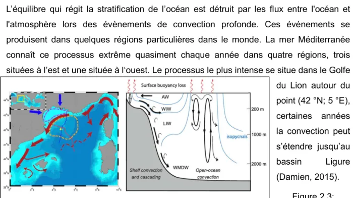 Figure 2.4: Mécanisme de la convection profonde suivant trois étapes : a. 