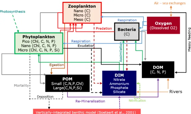 Figure 4.1: Représentation schématique du modèle Eco3m-S 