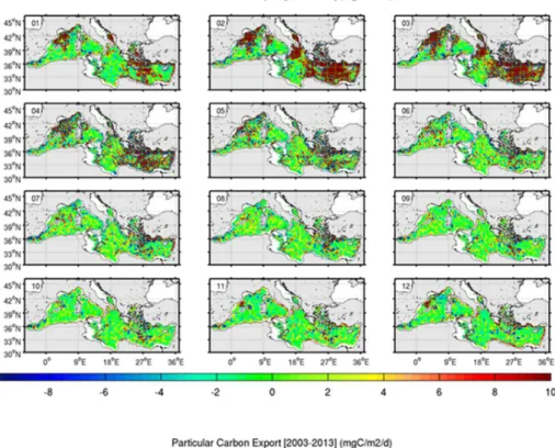 Figure 11: DOC export (upper) and POC export (lower) climatologies