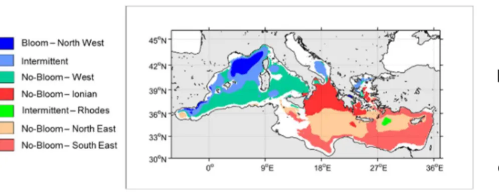 Figure 12: Spatial  distribution of  bioregions extracted  by k-means clustering 
