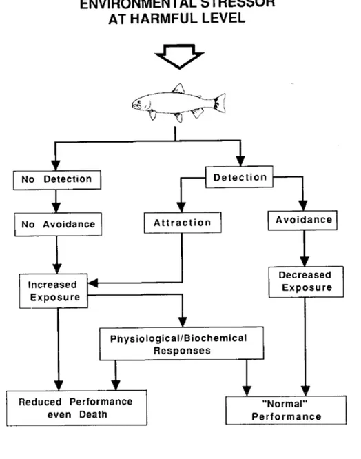Figure 5. Conséquences de la réponse comportementale à un stress environnemental. 