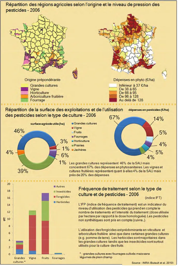 Figure 11. Infographie sur l'utilisation des pesticides en France. 