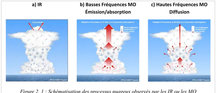 Figure 2. 1 : Schématisation des processus nuageux observés par les IR ou les MO  (source : COMET http://meted.ucar.edu/)