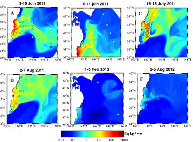 Figure 5. Spatial and temporal comparisons between the weighted average of simulated 137 Cs concentrations in the three zooplankton groups (Bq kg − 1 ww) and the field observations (colored rounds) reported by (a) Buesseler et al