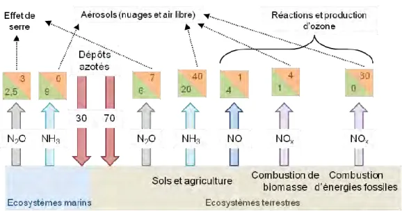 Figure  1.2. Cycle  global  de  l’azote  réactif  dans  l’atmosphère :  principales  sources,  transformations,  effets  et  produits