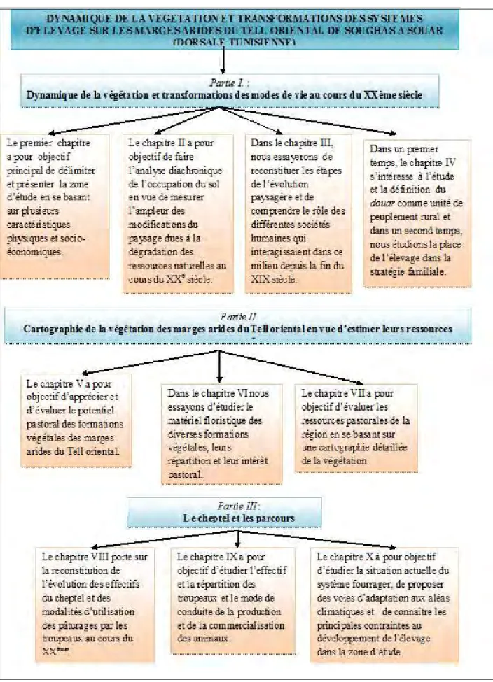 Figure 3 : Présentation de la thèse 