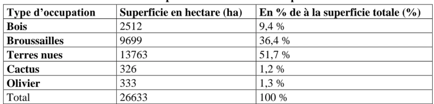 Tableau 4 : Superficie des unités d’occupation 