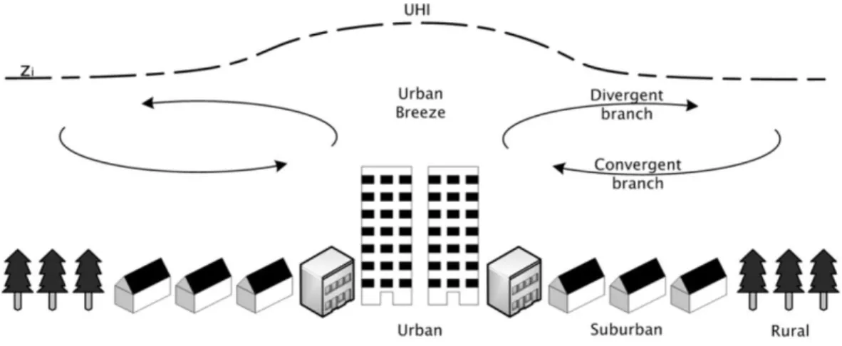 Figure 1.6 – Représentation schématique du phénomène de brise urbaine. Source : Hi- Hi-dalgo Rodriguez ( 2008 )